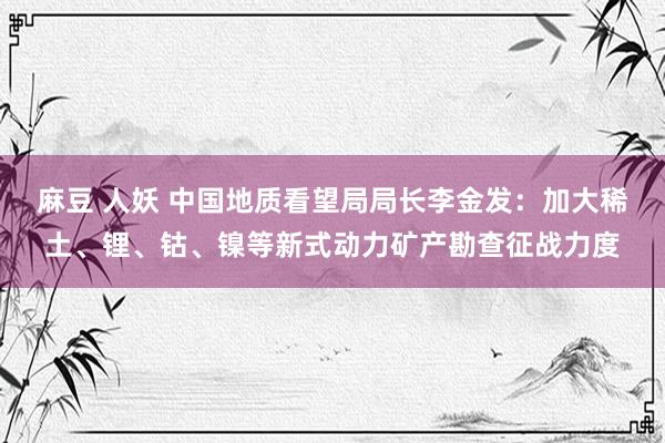 麻豆 人妖 中国地质看望局局长李金发：加大稀土、锂、钴、镍等新式动力矿产勘查征战力度