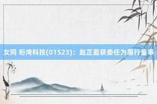 女同 珩湾科技(01523):赵芷盈获委任为履行董事