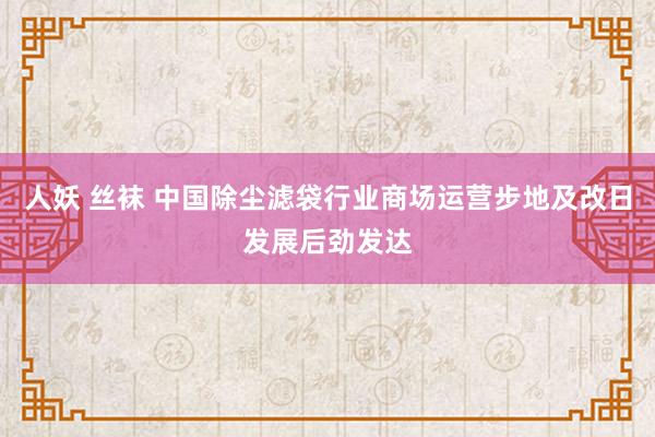 人妖 丝袜 中国除尘滤袋行业商场运营步地及改日发展后劲发达