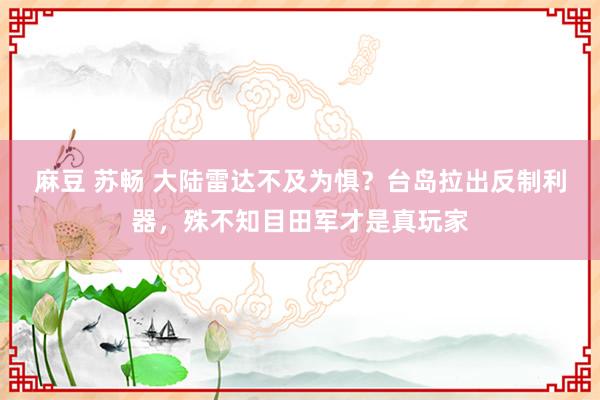 麻豆 苏畅 大陆雷达不及为惧?台岛拉出反制利器,殊不知目田军才是真玩家