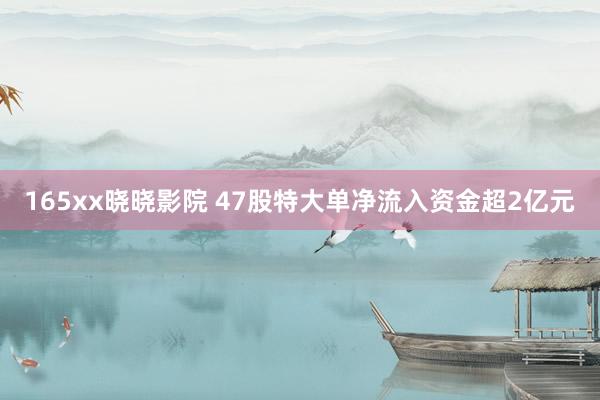 165xx晓晓影院 47股特大单净流入资金超2亿元