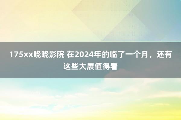 175xx晓晓影院 在2024年的临了一个月，还有这些大展值得看