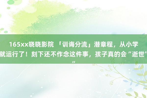 165xx晓晓影院 「训诲分流」潜章程，从小学就运行了！刻下还不作念这件事，孩子真的会“逝世”