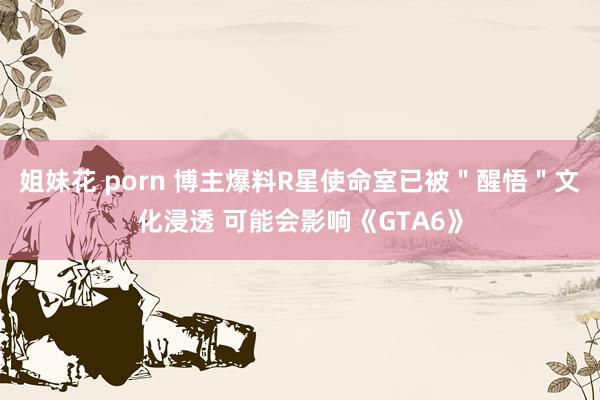 姐妹花 porn 博主爆料R星使命室已被＂醒悟＂文化浸透 可能会影响《GTA6》