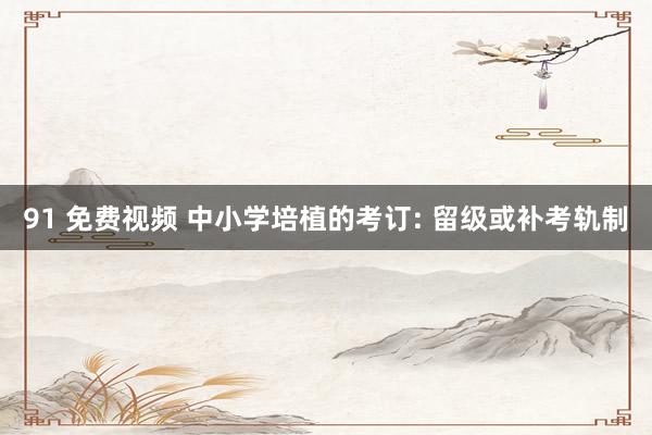 91 免费视频 中小学培植的考订: 留级或补考轨制