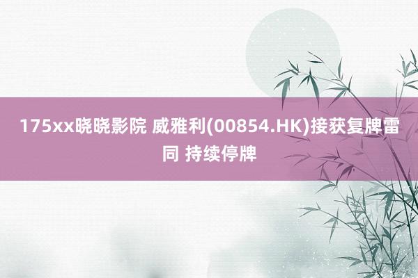 175xx晓晓影院 威雅利(00854.HK)接获复牌雷同 持续停牌