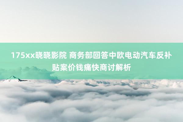 175xx晓晓影院 商务部回答中欧电动汽车反补贴案价钱痛快商讨解析