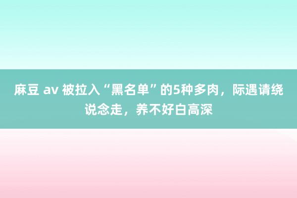 麻豆 av 被拉入“黑名单”的5种多肉，际遇请绕说念走，养不好白高深