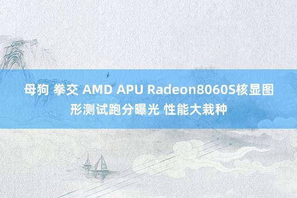 母狗 拳交 AMD APU Radeon8060S核显图形测试跑分曝光 性能大栽种