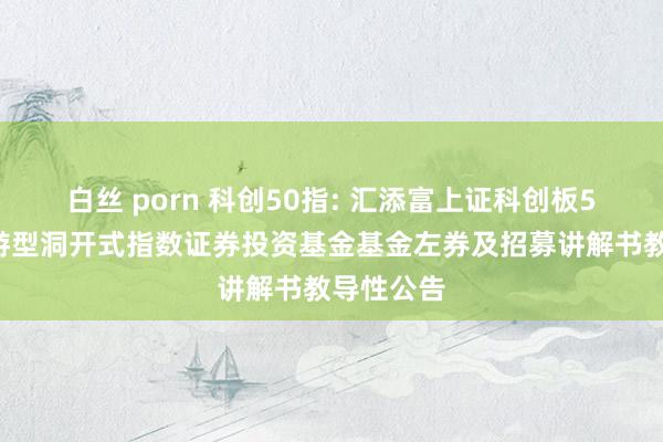 白丝 porn 科创50指: 汇添富上证科创板50成份交游型洞开式指数证券投资基金基金左券及招募讲解书教导性公告