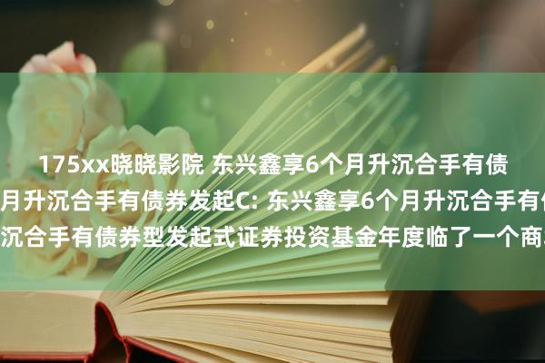 175xx晓晓影院 东兴鑫享6个月升沉合手有债券发起A,东兴鑫享6个月升沉合手有债券发起C: 东兴鑫享6个月升沉合手有债券型发起式证券投资基金年度临了一个商场往未来净值公告