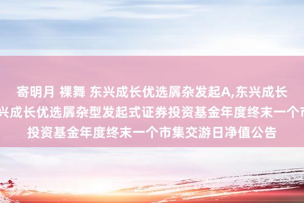 寄明月 裸舞 东兴成长优选羼杂发起A,东兴成长优选羼杂发起C: 东兴成长优选羼杂型发起式证券投资基金年度终末一个市集交游日净值公告