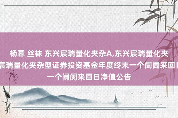 杨幂 丝袜 东兴宸瑞量化夹杂A,东兴宸瑞量化夹杂C: 东兴宸瑞量化夹杂型证券投资基金年度终末一个阛阓来回日净值公告