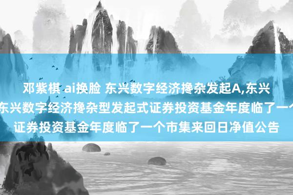 邓紫棋 ai换脸 东兴数字经济搀杂发起A,东兴数字经济搀杂发起C: 东兴数字经济搀杂型发起式证券投资基金年度临了一个市集来回日净值公告