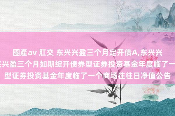 國產av 肛交 东兴兴盈三个月定开债A,东兴兴盈三个月定开债C: 东兴兴盈三个月如期绽开债券型证券投资基金年度临了一个商场往往日净值公告