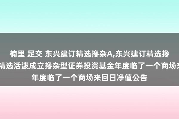 楠里 足交 东兴建订精选搀杂A,东兴建订精选搀杂C: 东兴建订精选活泼成立搀杂型证券投资基金年度临了一个商场来回日净值公告
