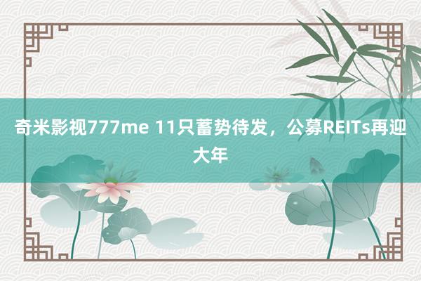 奇米影视777me 11只蓄势待发，公募REITs再迎大年