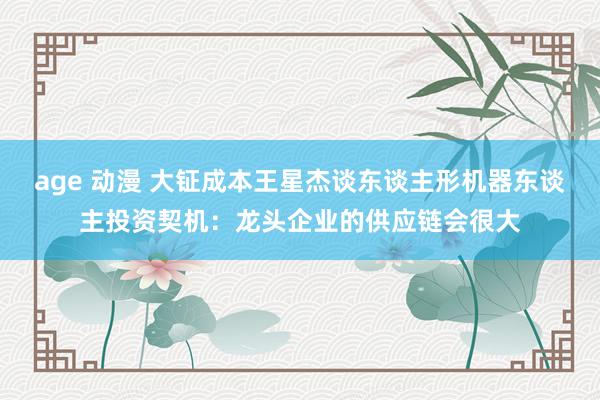 age 动漫 大钲成本王星杰谈东谈主形机器东谈主投资契机：龙头企业的供应链会很大
