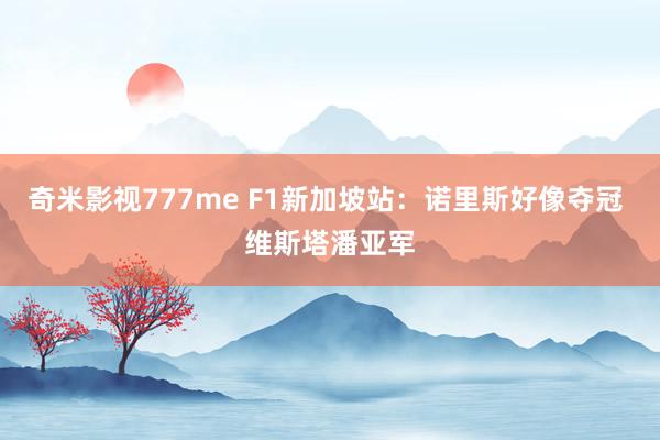 奇米影视777me F1新加坡站：诺里斯好像夺冠 维斯塔潘亚军