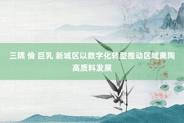 三隅 倫 巨乳 新城区以数字化转型推动区域熏陶高质料发展