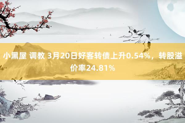 小黑屋 调教 3月20日好客转债上升0.54%，转股溢价率24.81%