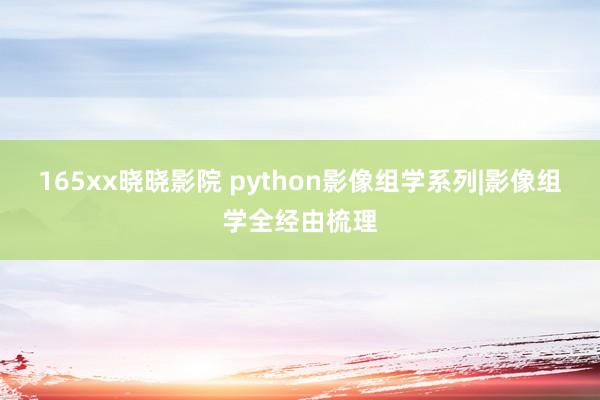 165xx晓晓影院 python影像组学系列|影像组学全经由梳理