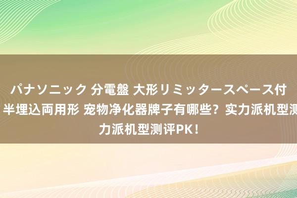 パナソニック 分電盤 大形リミッタースペース付 露出・半埋込両用形 宠物净化器牌子有哪些？实力派机型测评PK！