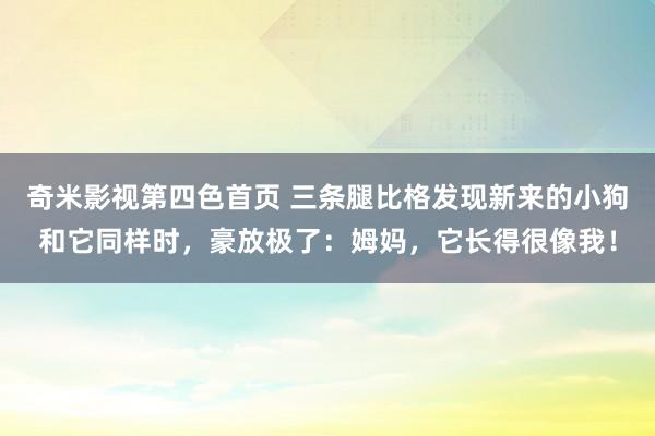 奇米影视第四色首页 三条腿比格发现新来的小狗和它同样时，豪放极了：姆妈，它长得很像我！