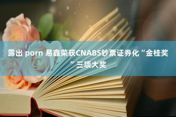 露出 porn 易鑫荣获CNABS钞票证券化“金桂奖”三项大奖