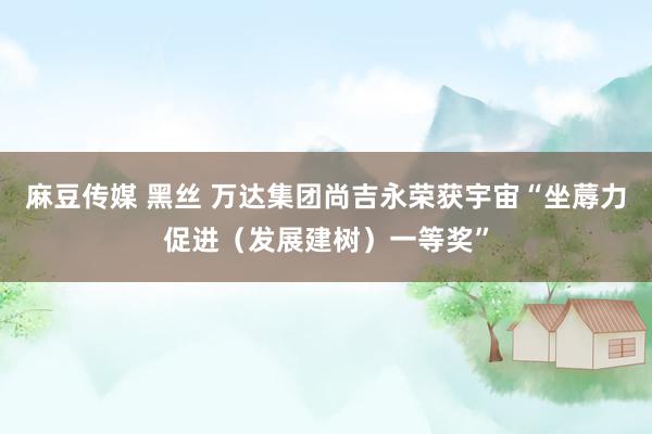 麻豆传媒 黑丝 万达集团尚吉永荣获宇宙“坐蓐力促进（发展建树）一等奖”