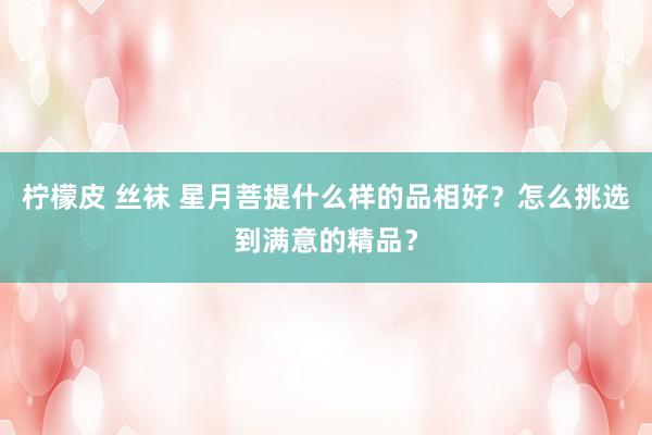 柠檬皮 丝袜 星月菩提什么样的品相好？怎么挑选到满意的精品？