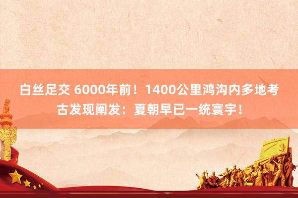 白丝足交 6000年前！1400公里鸿沟内多地考古发现阐发：夏朝早已一统寰宇！