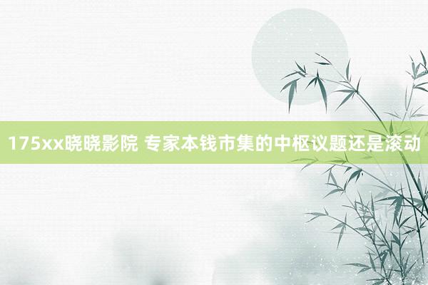175xx晓晓影院 专家本钱市集的中枢议题还是滚动