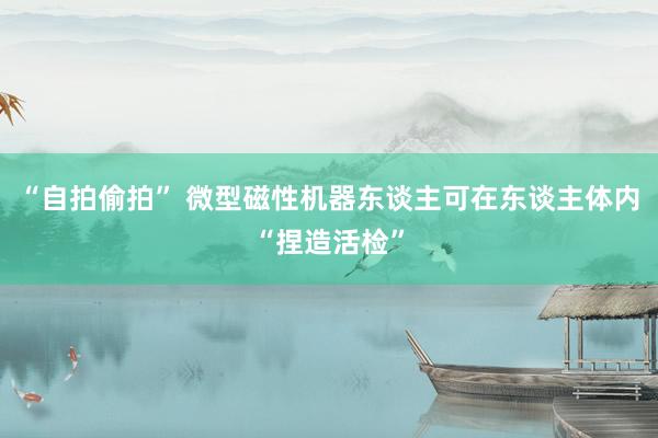 “自拍偷拍” 微型磁性机器东谈主可在东谈主体内“捏造活检”