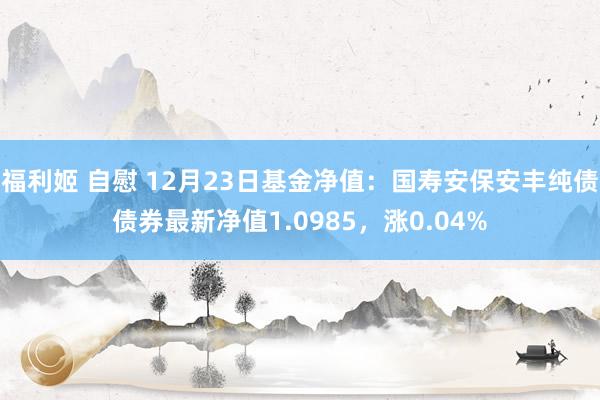 福利姬 自慰 12月23日基金净值：国寿安保安丰纯债债券最新净值1.0985，涨0.04%