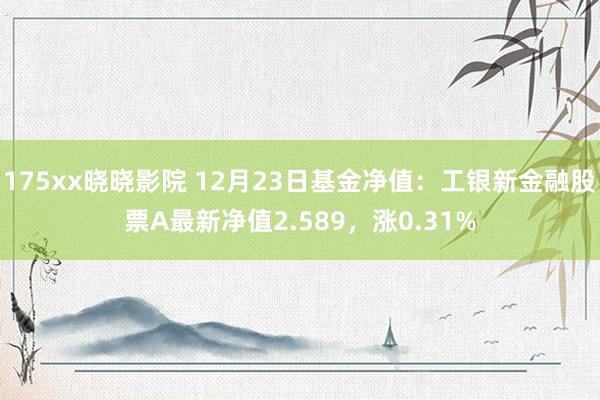 175xx晓晓影院 12月23日基金净值：工银新金融股票A最新净值2.589，涨0.31%