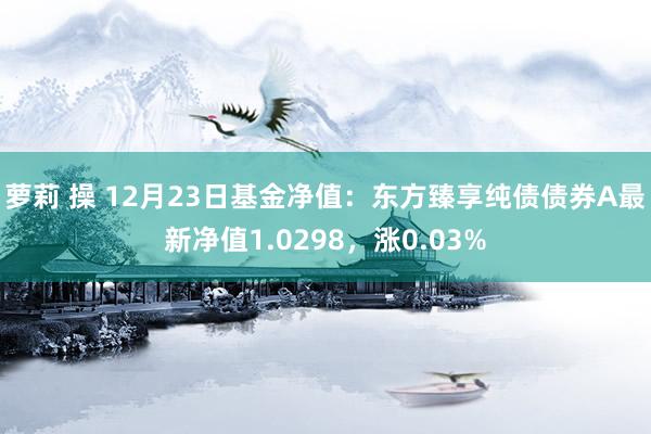 萝莉 操 12月23日基金净值：东方臻享纯债债券A最新净值1.0298，涨0.03%