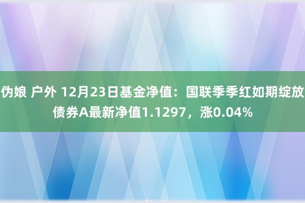 伪娘 户外 12月23日基金净值：国联季季红如期绽放债券A最新净值1.1297，涨0.04%