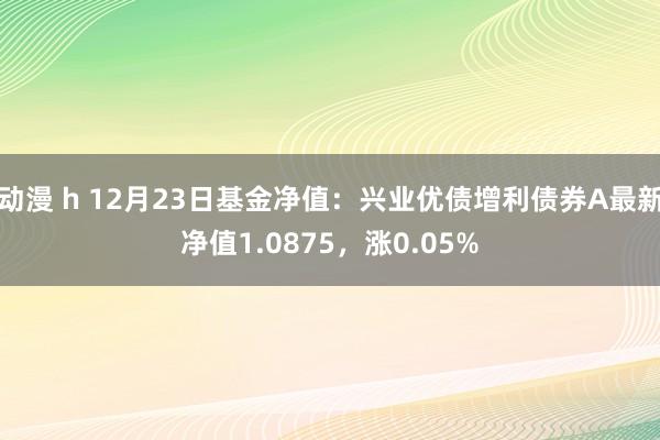 动漫 h 12月23日基金净值：兴业优债增利债券A最新净值1.0875，涨0.05%