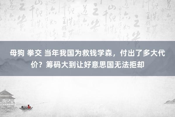 母狗 拳交 当年我国为救钱学森，付出了多大代价？筹码大到让好意思国无法拒却