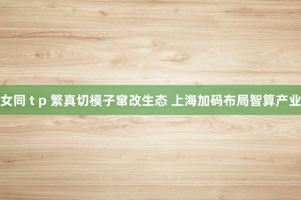 女同 t p 繁真切模子窜改生态 上海加码布局智算产业