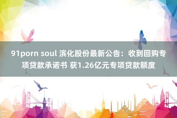 91porn soul 滨化股份最新公告:收到回购专项贷款承诺书 获1.26亿元专项贷款额度