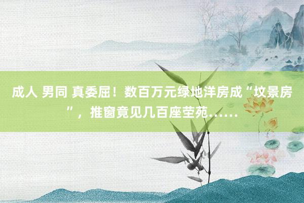 成人 男同 真委屈！数百万元绿地洋房成“坟景房”，推窗竟见几百座茔苑……