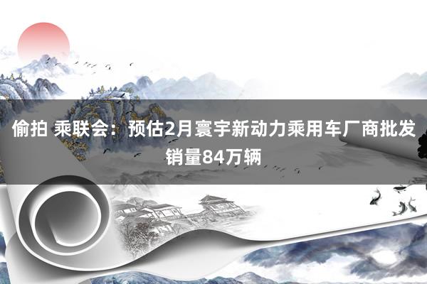 偷拍 乘联会：预估2月寰宇新动力乘用车厂商批发销量84万辆