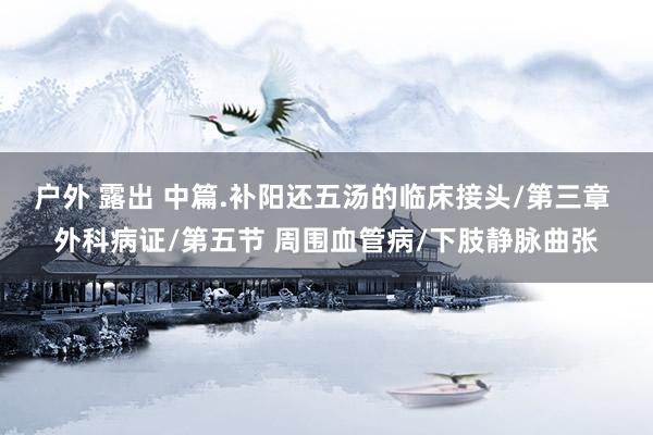 户外 露出 中篇.补阳还五汤的临床接头/第三章 外科病证/第五节 周围血管病/下肢静脉曲张