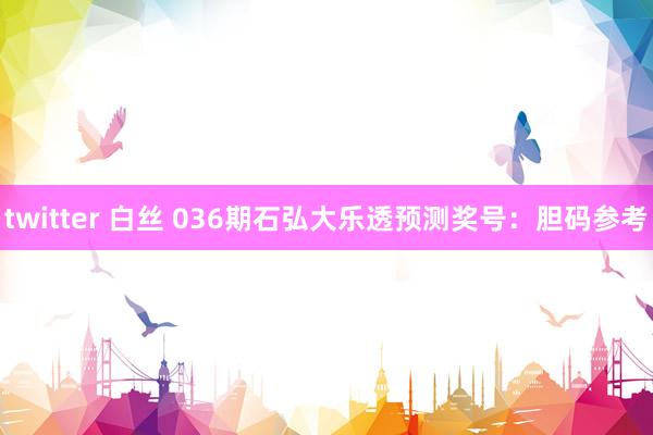 twitter 白丝 036期石弘大乐透预测奖号：胆码参考