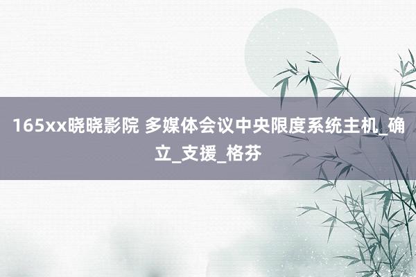 165xx晓晓影院 多媒体会议中央限度系统主机_确立_支援_格芬