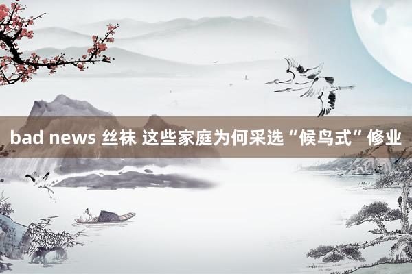 bad news 丝袜 这些家庭为何采选“候鸟式”修业