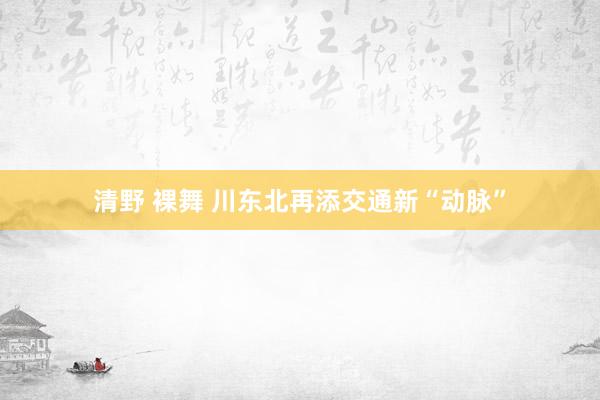 清野 裸舞 川东北再添交通新“动脉”
