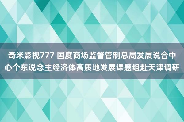 奇米影视777 国度商场监督管制总局发展说合中心个东说念主经济体高质地发展课题组赴天津调研